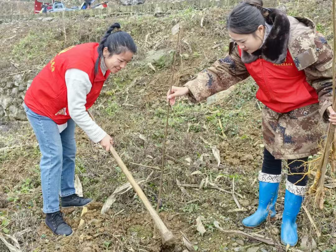 沙灣鎮(zhèn)人大代表